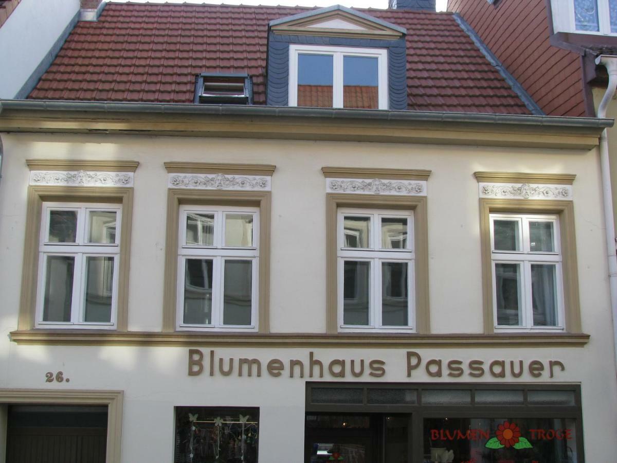2 Ferienwohnungen Mitten In Der Innenstadt Greifswald Exteriör bild