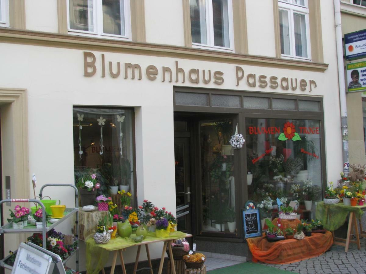 2 Ferienwohnungen Mitten In Der Innenstadt Greifswald Exteriör bild