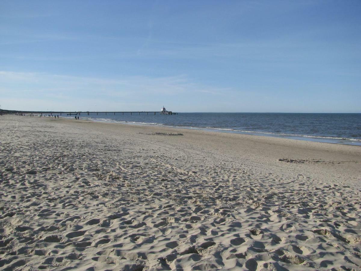 2 Ferienwohnungen Mitten In Der Innenstadt Greifswald Exteriör bild